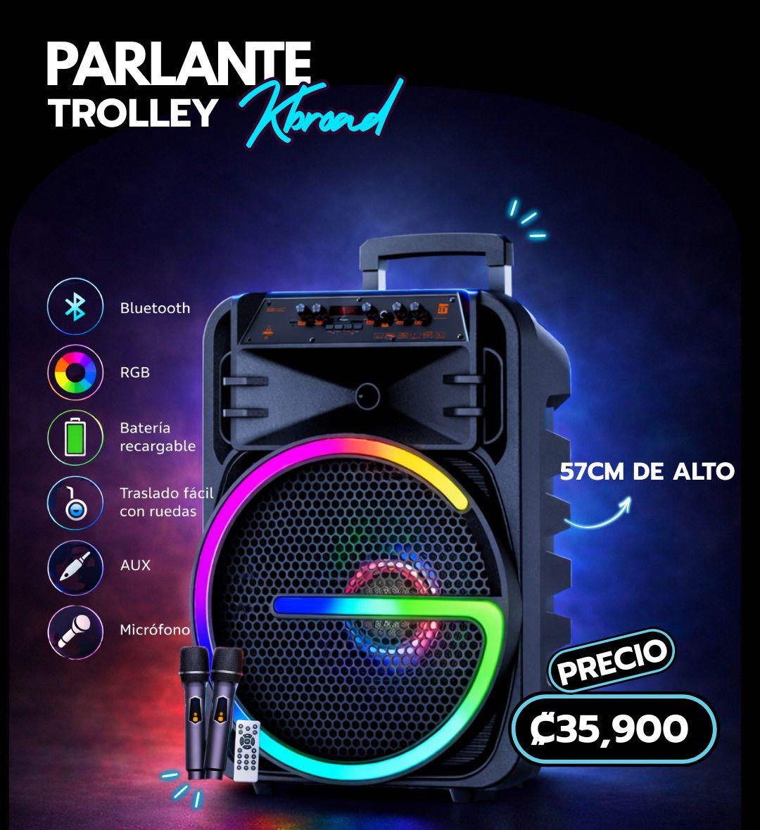 PARLANTE CON DOS MICROFONO 57CM