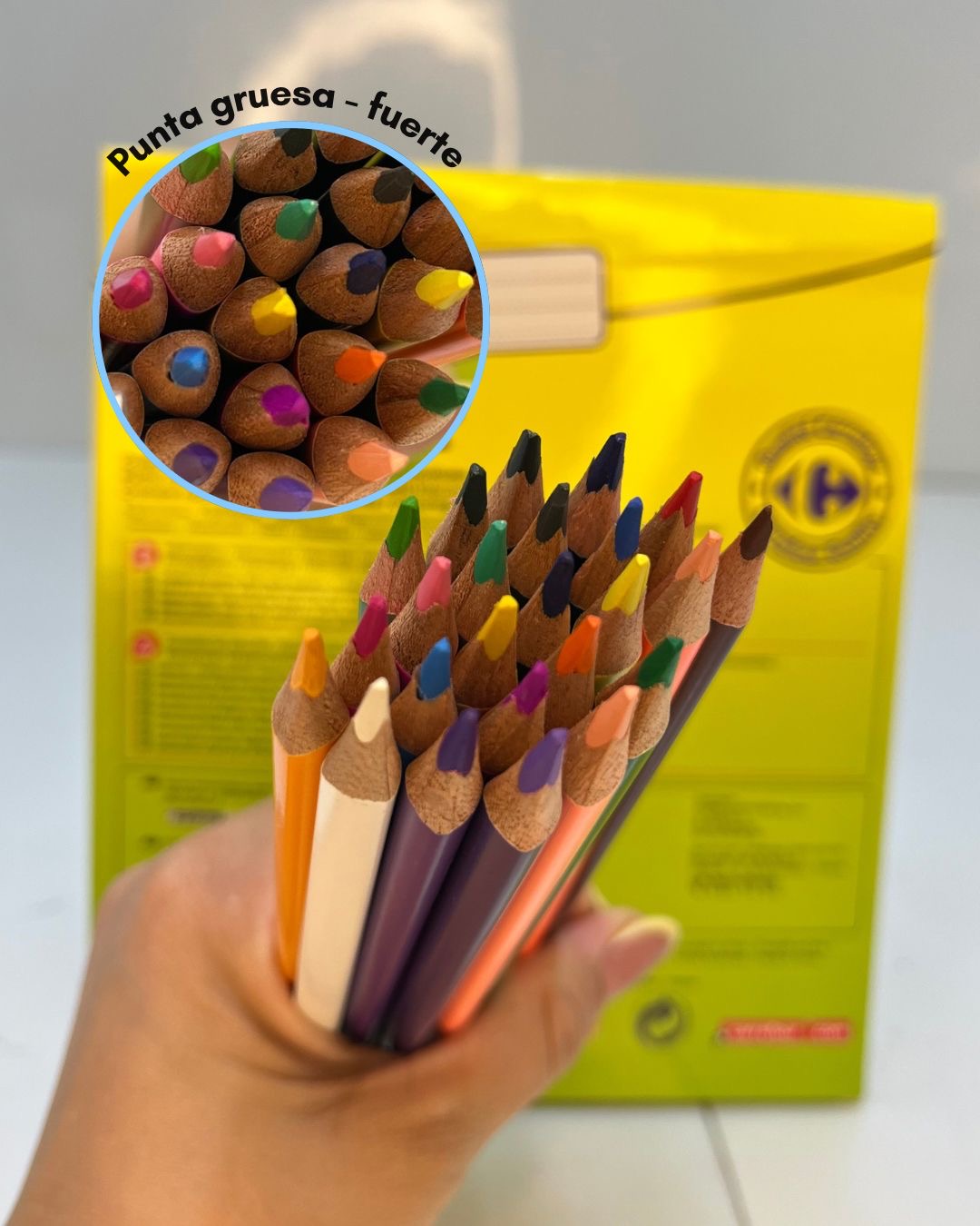 LAPICES COLORES CARREFOUR 24 COLORES