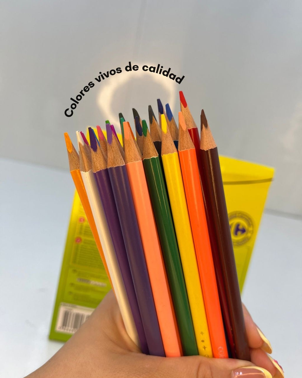 LAPICES COLORES CARREFOUR 24 COLORES