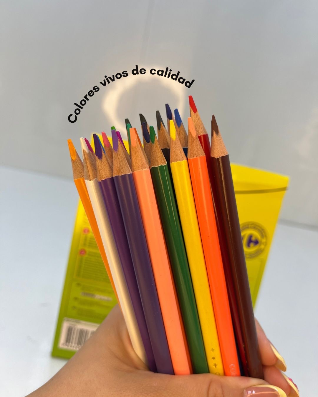LAPICES COLORES CARREFOUR 24 COLORES