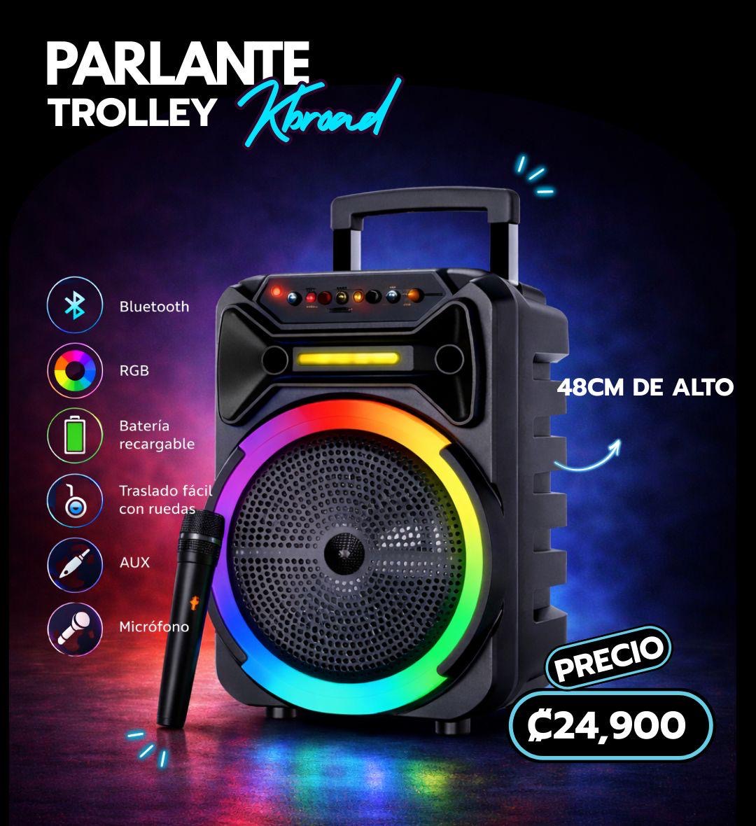 PARLANTE CON MICROFONO 48CM